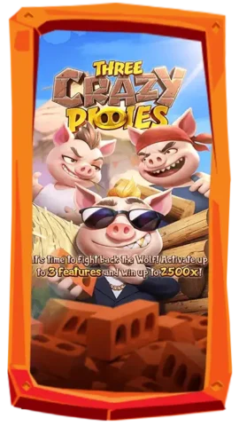 Three Crazy Piggies