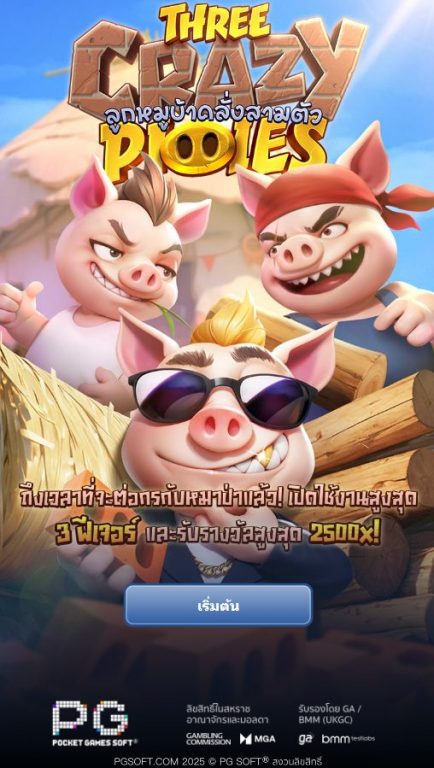 หน้าหลักของเกม Three Crazy Piggies
