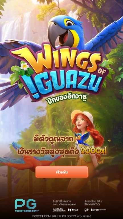 หน้าแรกของเกม Wings_of_Iguazu