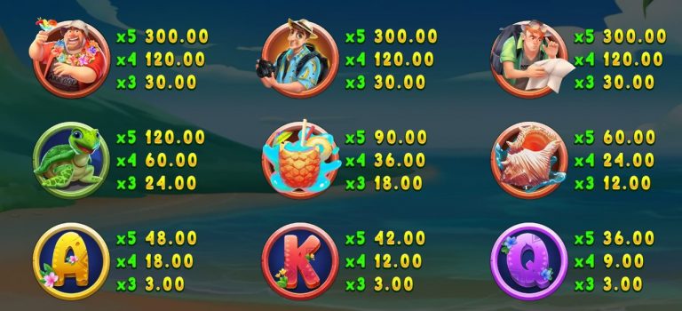 สัญลักษณ์ของเกม Hawaii Vacay(2)